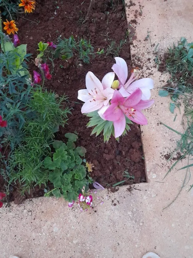 Vlorë Rey Garden 2酒店 招待所